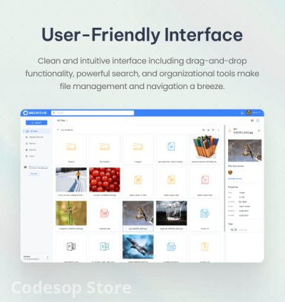 BeDrive - File Sharing and Cloud Storage